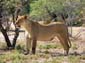 0391_0389_Namibia-050516-103552_P1020393