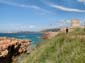 1081_20110613_153708_Sardinien2011_DSC04267