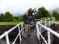 1194_Schottland_2014_06_05_095558_DSCF4549
