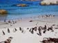 1094_Suedafrika_2003_09_24_160740_IMGP2326